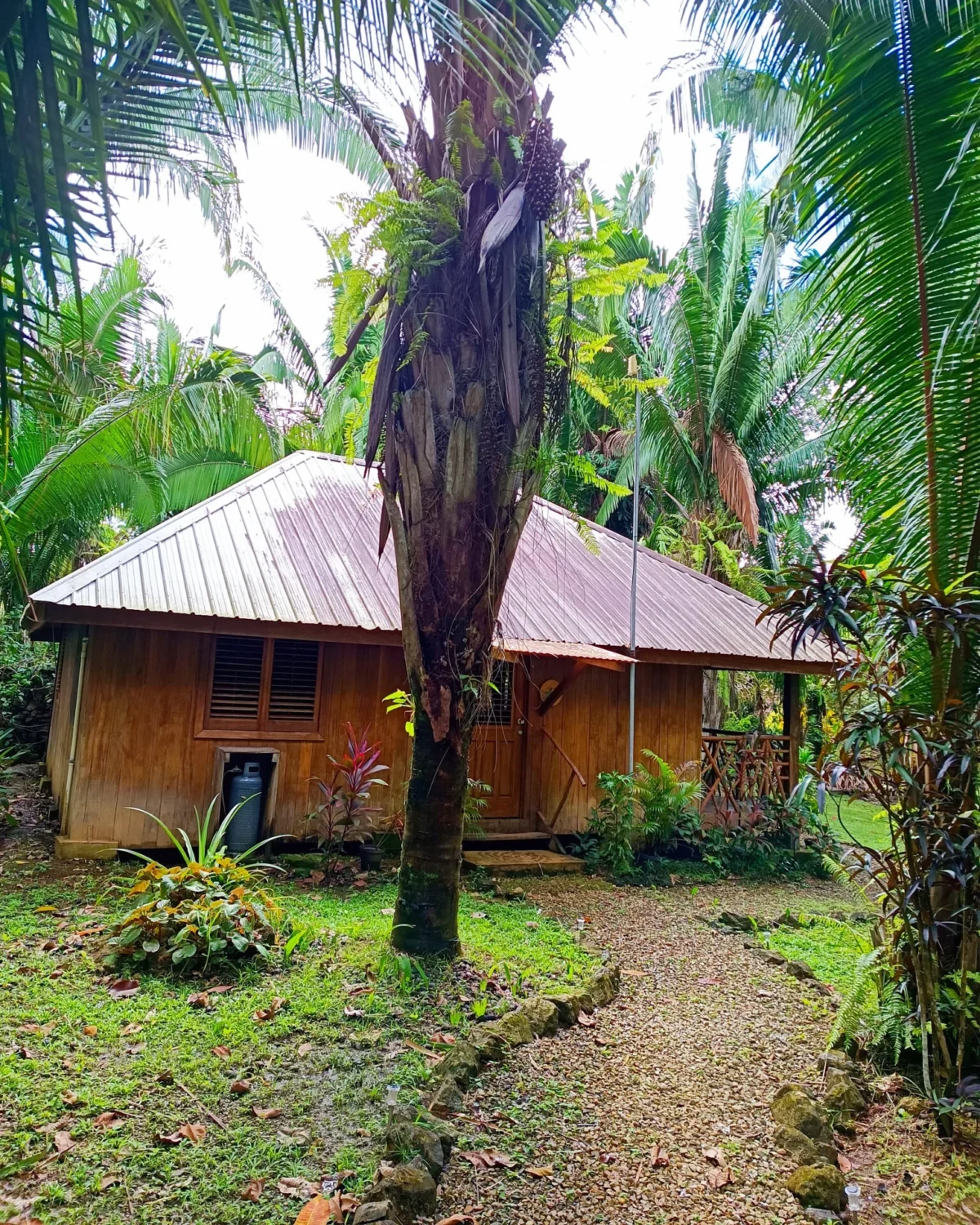 Hummingbird Cottage, Holzhaus mit Blechdach im tropischen Garten