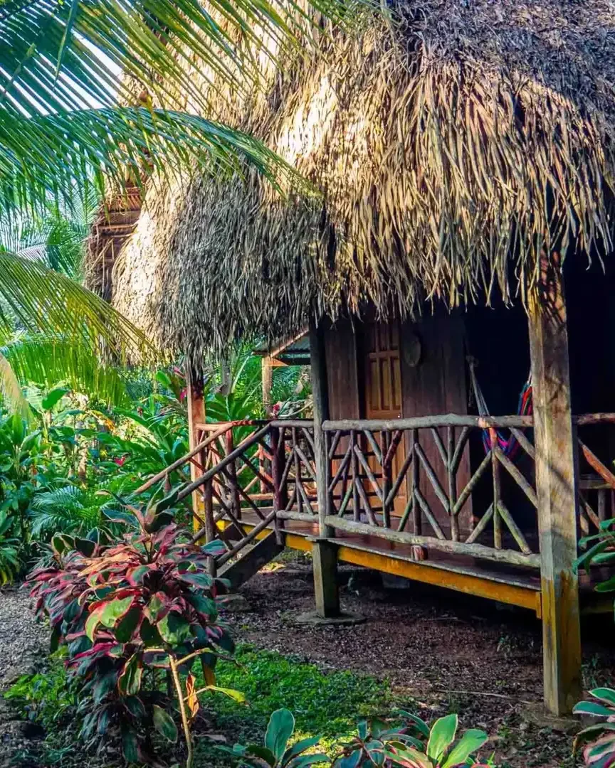 Parrot Cottage mit überdachter Veranda mitten im Grünen