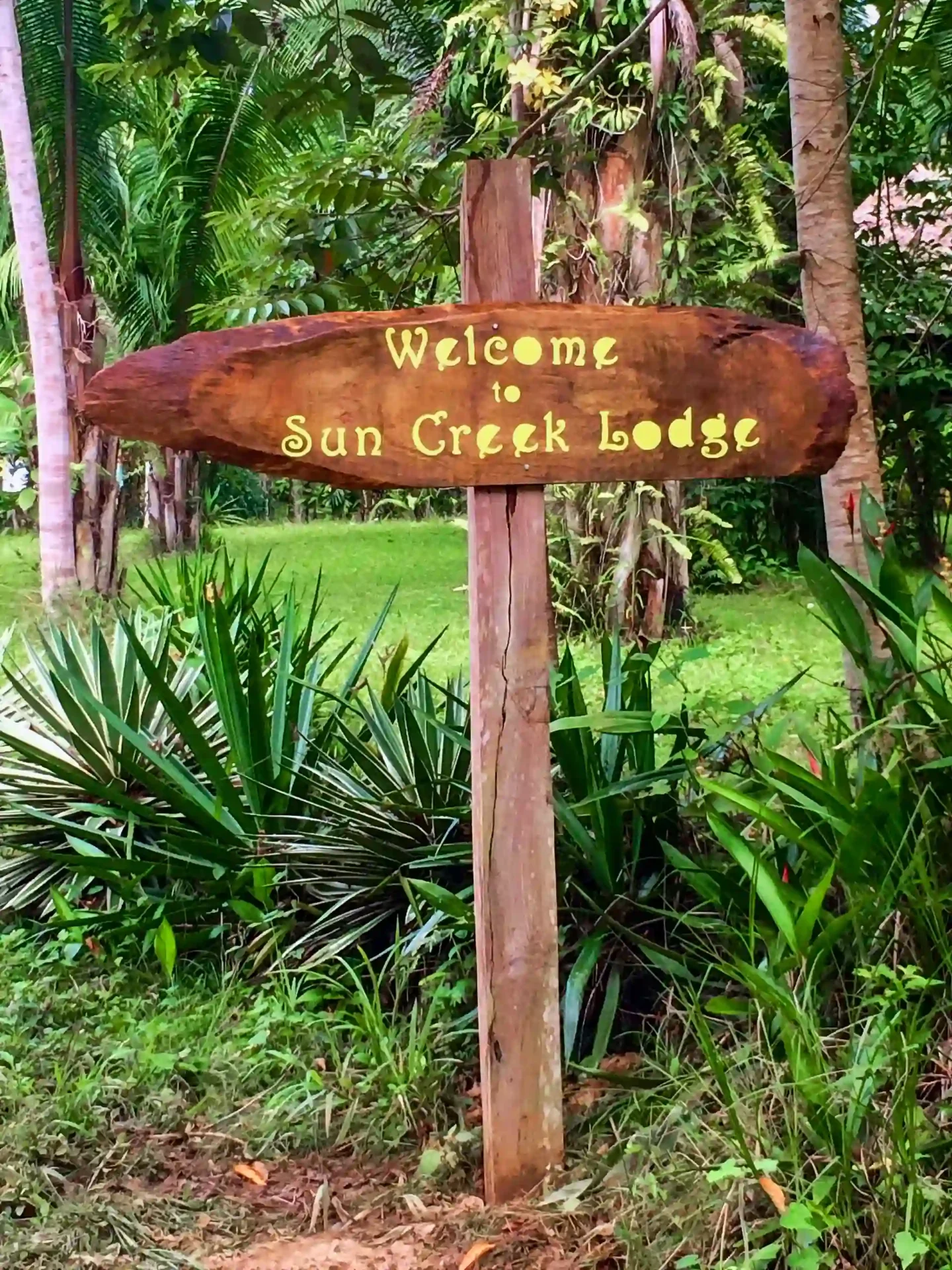 Handgeschnitztes Holzschild „Welcome to Sun Creek Lodge“ im Grünen